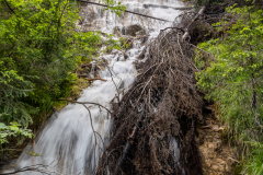 210628_isel-trail_140243
