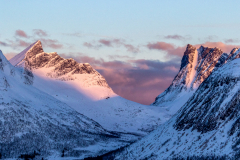 Senja