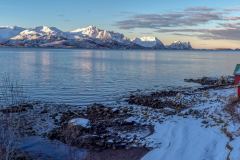 Senja