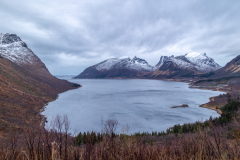 Senja