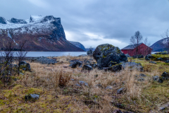 Senja
