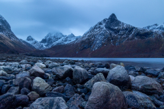 Senja