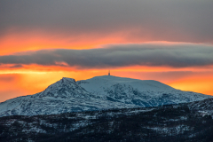 Senja