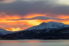 Senja