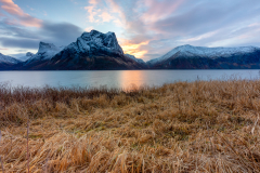 Senja