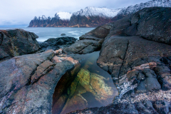 Senja